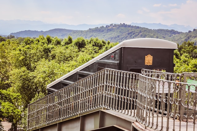 Alliances de mariage