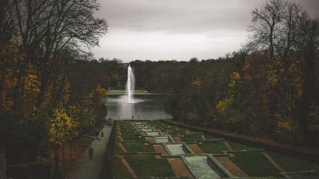 Alliances de mariage